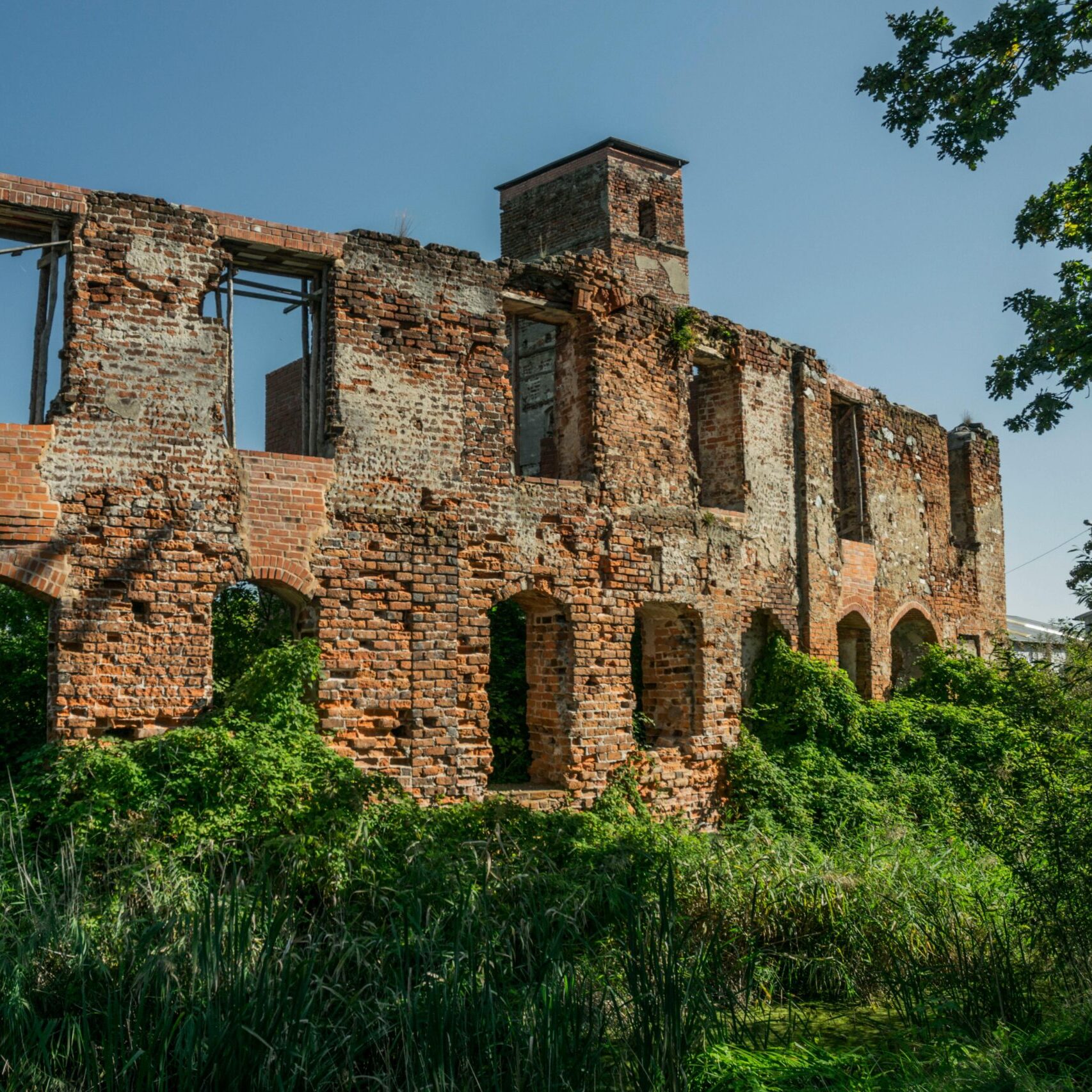 Ruiny zamku Smolec Catle ruins Smolec
